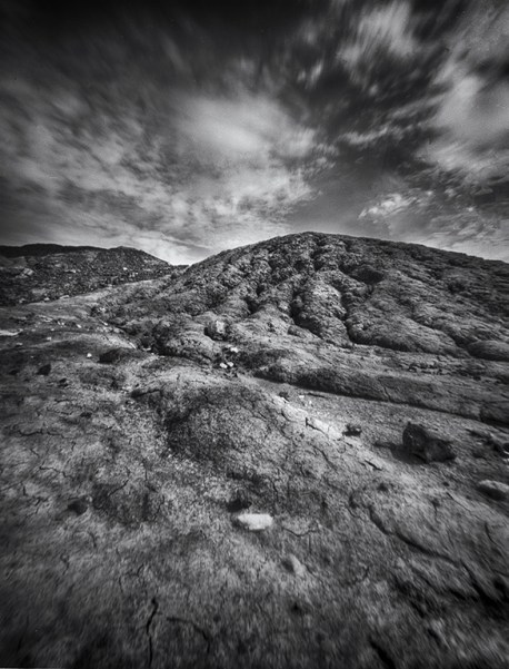 petrified forest, 2a
