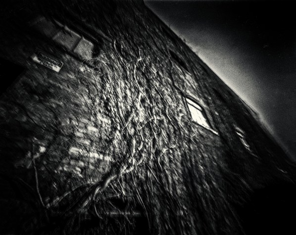 building detaila.jpg