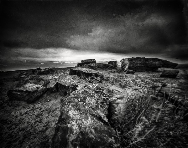 petrifiedforest, 3a.jpg