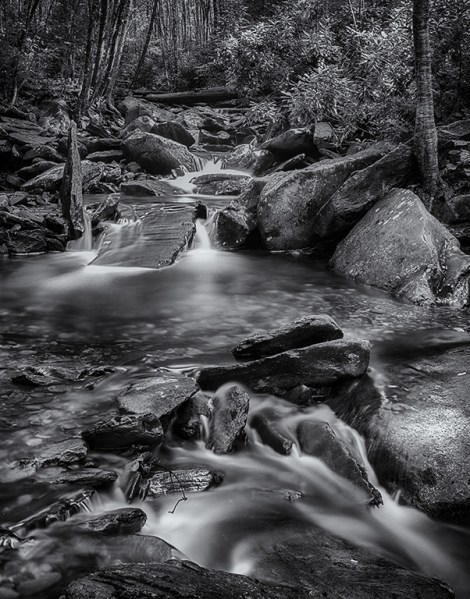 rocky mountain streama