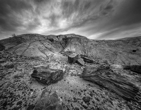 petrified forest, 3a