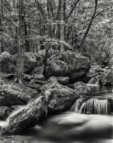 smokey mountain streama