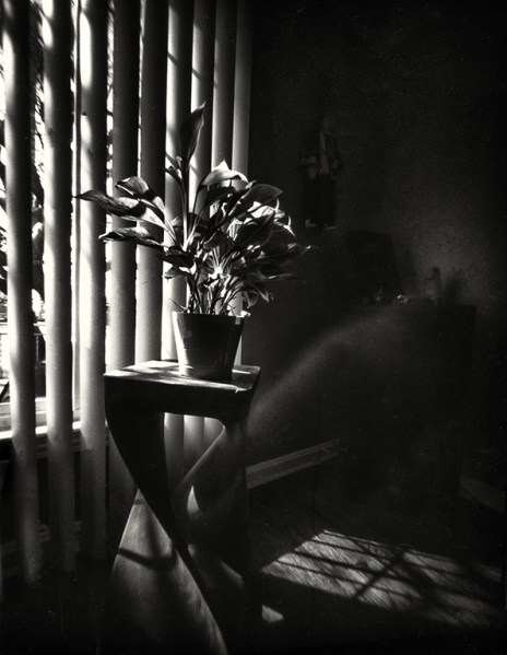 afternoonquarantine1a