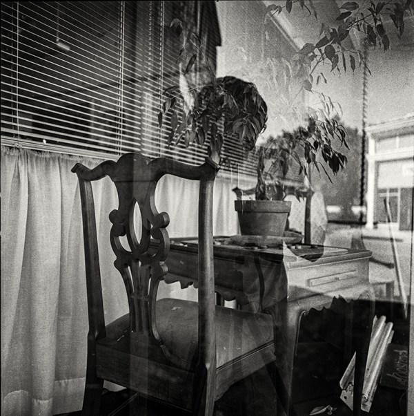 windon, las vegas nma