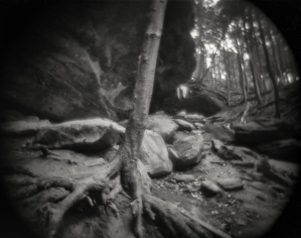 rocks and tree, ohioa