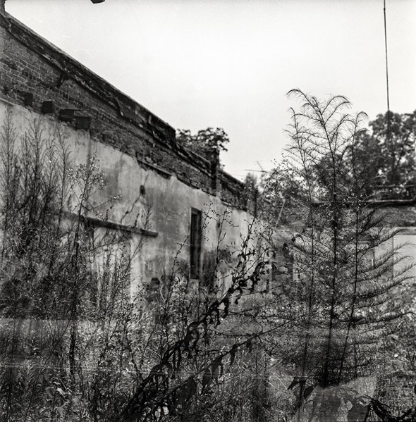 through a glass window, sca